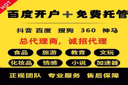 搜索引擎营销（SEM）的投放策略与效果评估——以某行业领先企业的案例分析